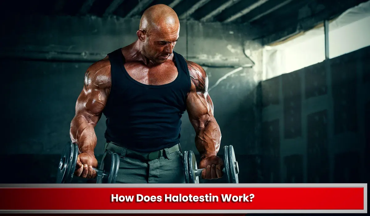 How Does Halotestin Work?