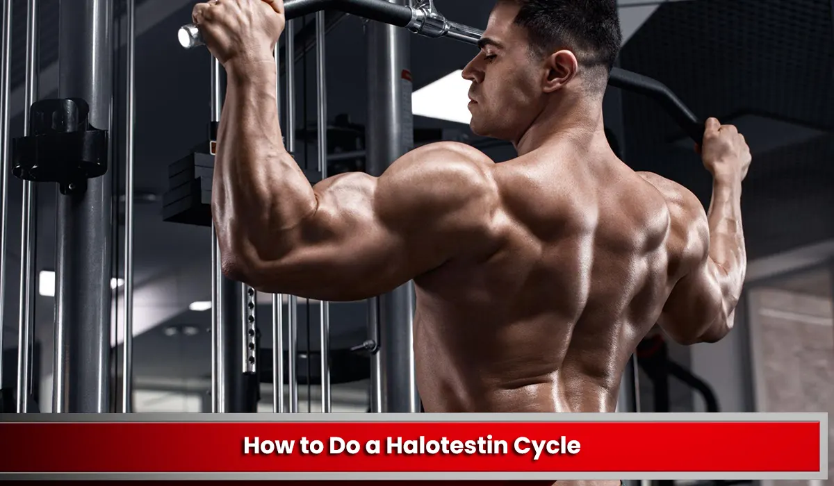 How to Do a Halotestin Cycle
